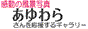 美しい風景写真の「写真屋さん.Blog」を応援するギャラリー